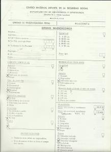 Estudio de la Placenta