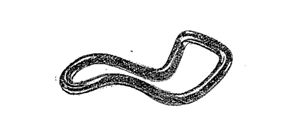 Pesario de Grall y Hewit