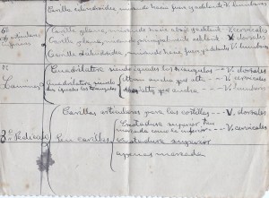 Apuntes de D. José Hernández Zoido