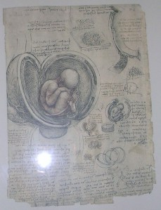 Grabado de L Da Vinci