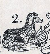 El perro o canícula con los atributos de Apolo. Grabado