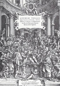Vesalio 2 001