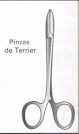 Pinza de Ternier