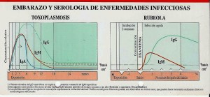 Embarazo y serologia de la enfermedades infecciosas