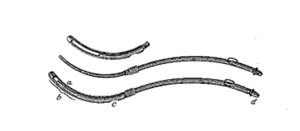 Sonda de Frits-Bozeman