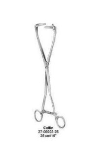 Pina de Ovario de Collin