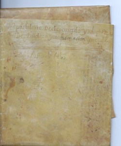 Carta privilegio 001