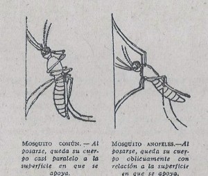 Paludismo 002 - copia (2)
